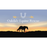 Oakdale Equine Rescue